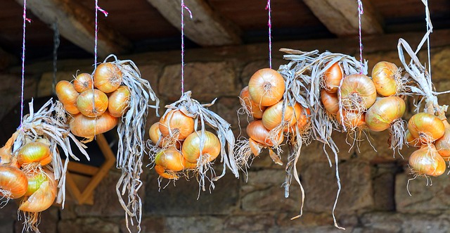 ognions qui sèchent à l'abri