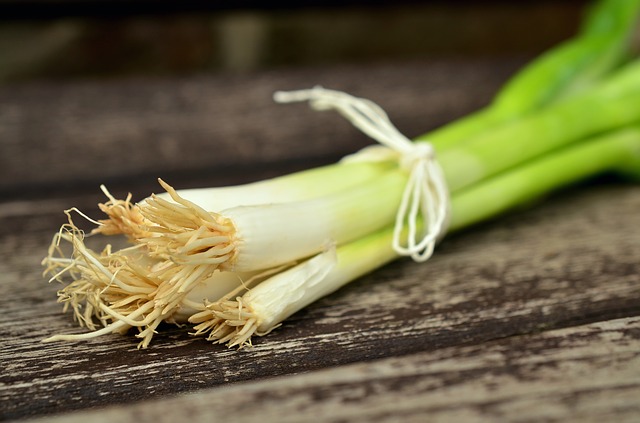 oignons de printemps ou oignons verts