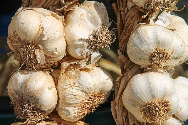 ail en tresse qui sèche